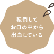 転倒してお口の中から出血している